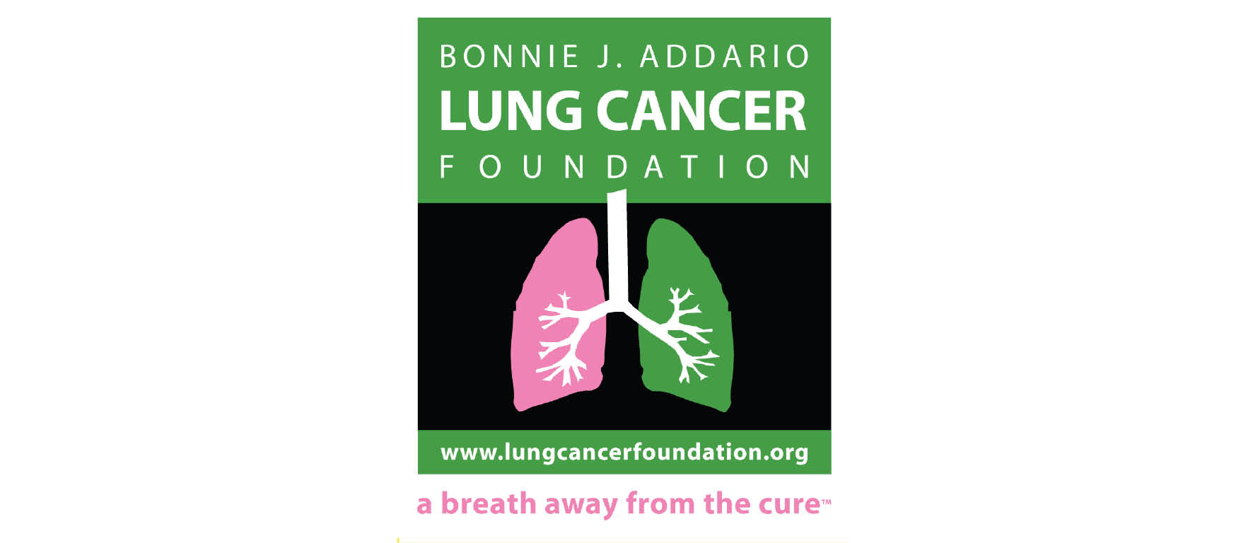 Bonnie Addario Lung Cancer Foundation logo Bonnie Addario Lung Cancer Foundation logo