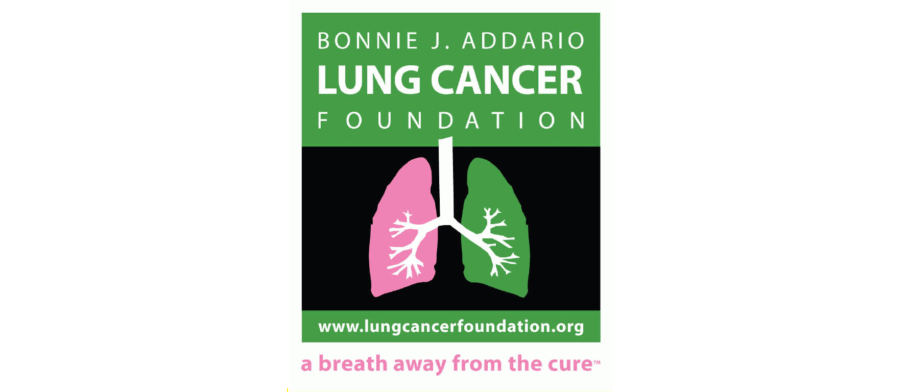 Bonnie Addario Lung Cancer Foundation logo